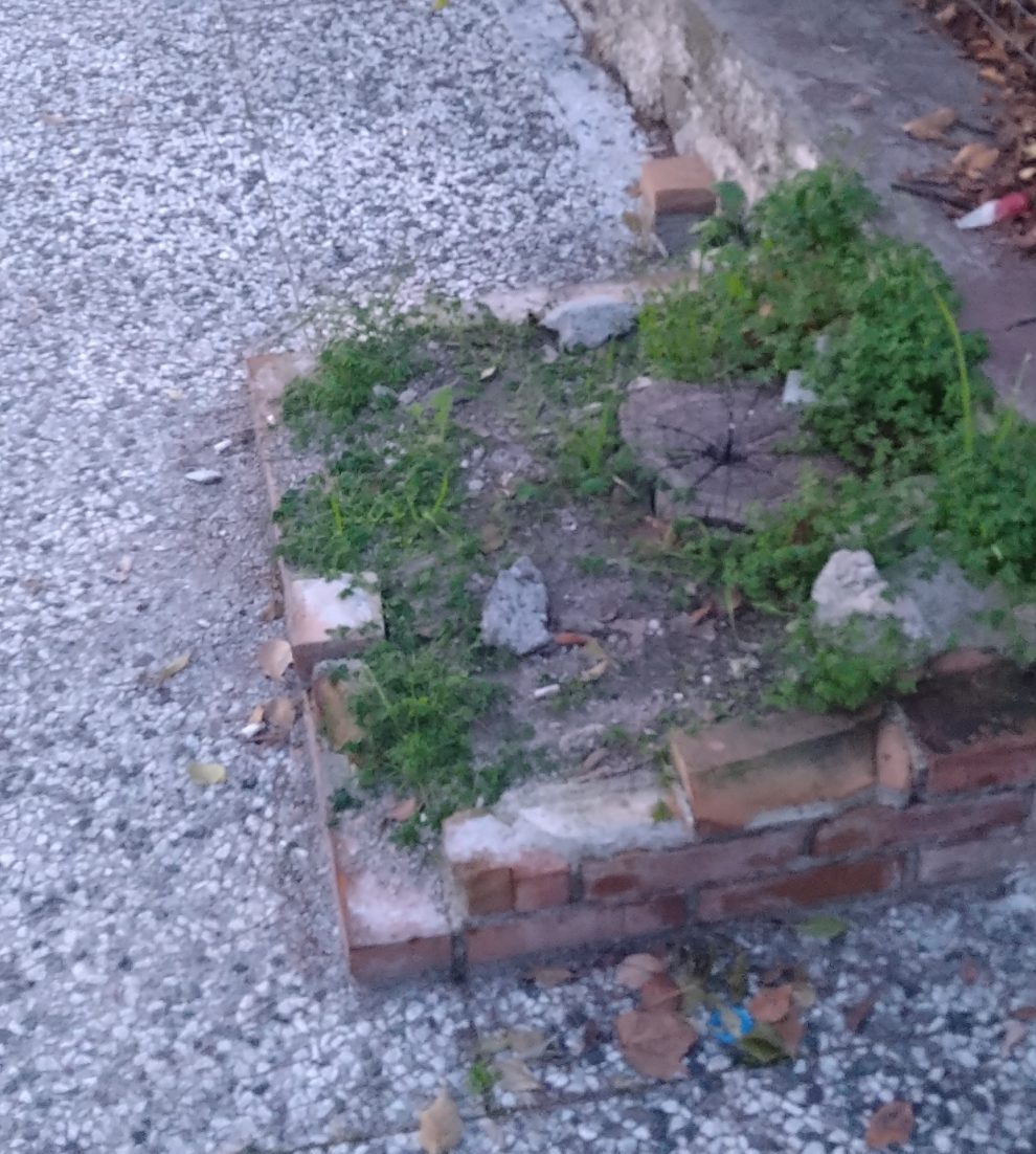 Ίδια εγκατάλειψη με το τρένο