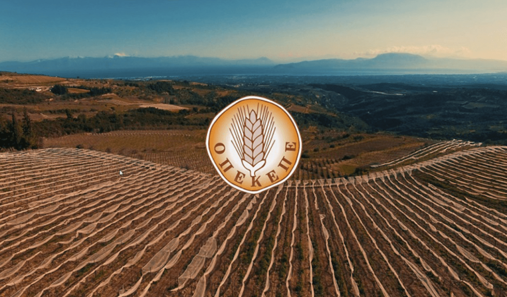 Το νέο σχέδιο για να “μπει τάξη” στον ΟΠΕΚΕΠΕ