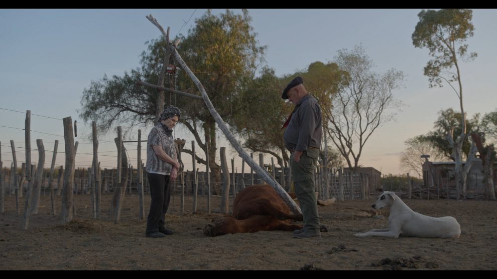 Alexis Franco: Mια διαγενεακή (αργεντίνικη) ιστορία για την αγάπη και την επιβίωση κόντρα στην ξηρασία…