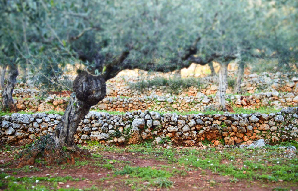 «Πάμε βόλτα» σε ξερολιθιές της Έξω Μάνης