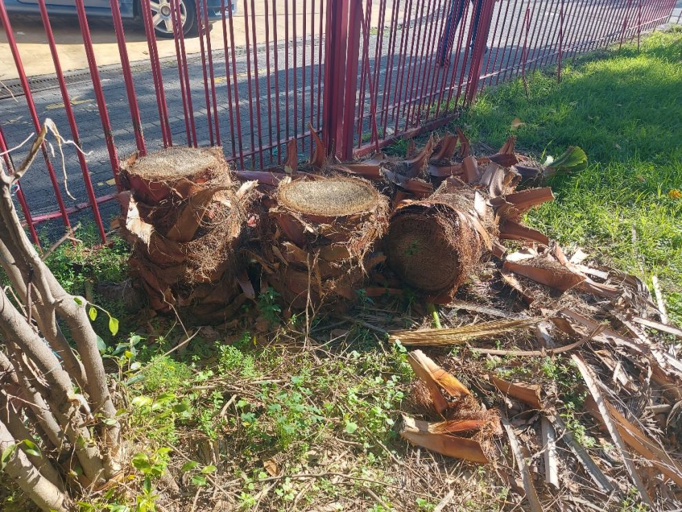 Πάρκο ΟΣΕ: Χριστουγεννιάτικη αντι- διακόσμηση