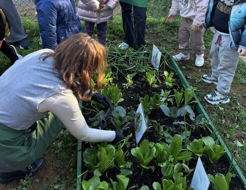 2ο Νηπιαγωγείο Μεσσήνης: Συνεργασία με 1ο ΕΠΑΛ Καλαμάτας  για το σχολικό λαχανόκηπο