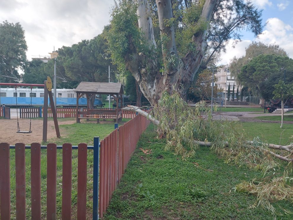 Μεγάλο κλαδί έπεσε στην περίφραξη της παιδικής χαράς