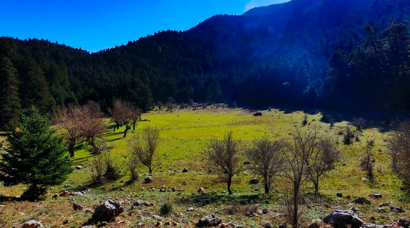 Ο Ευκλής: Ανάβαση στο Καλάθι και στον «Κρατήρα» του