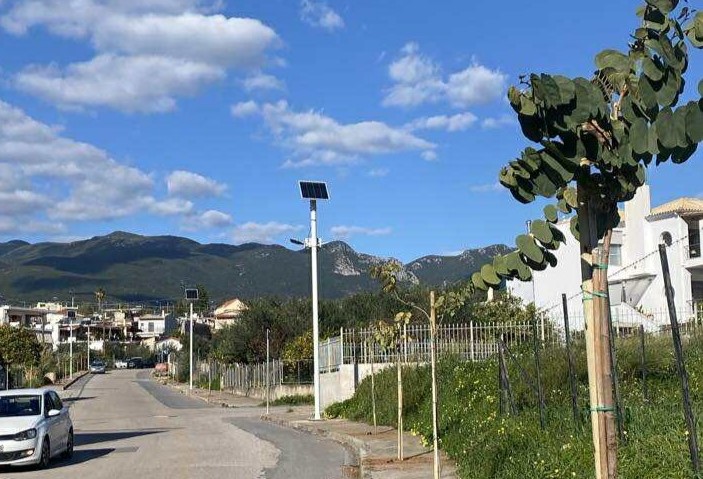 Δενδροφυτεύσεων…  συνέχεια στην Καλαμάτα