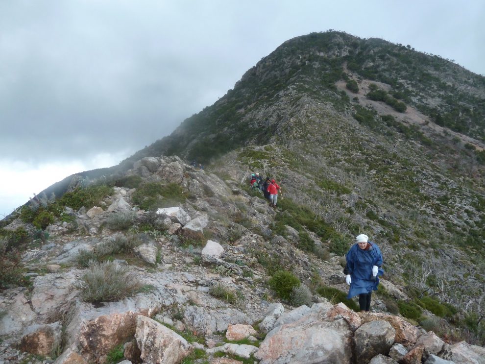Ευκλής: Οι δράσεις του πεζοπορικού τμήματος τον Ιανουάριο