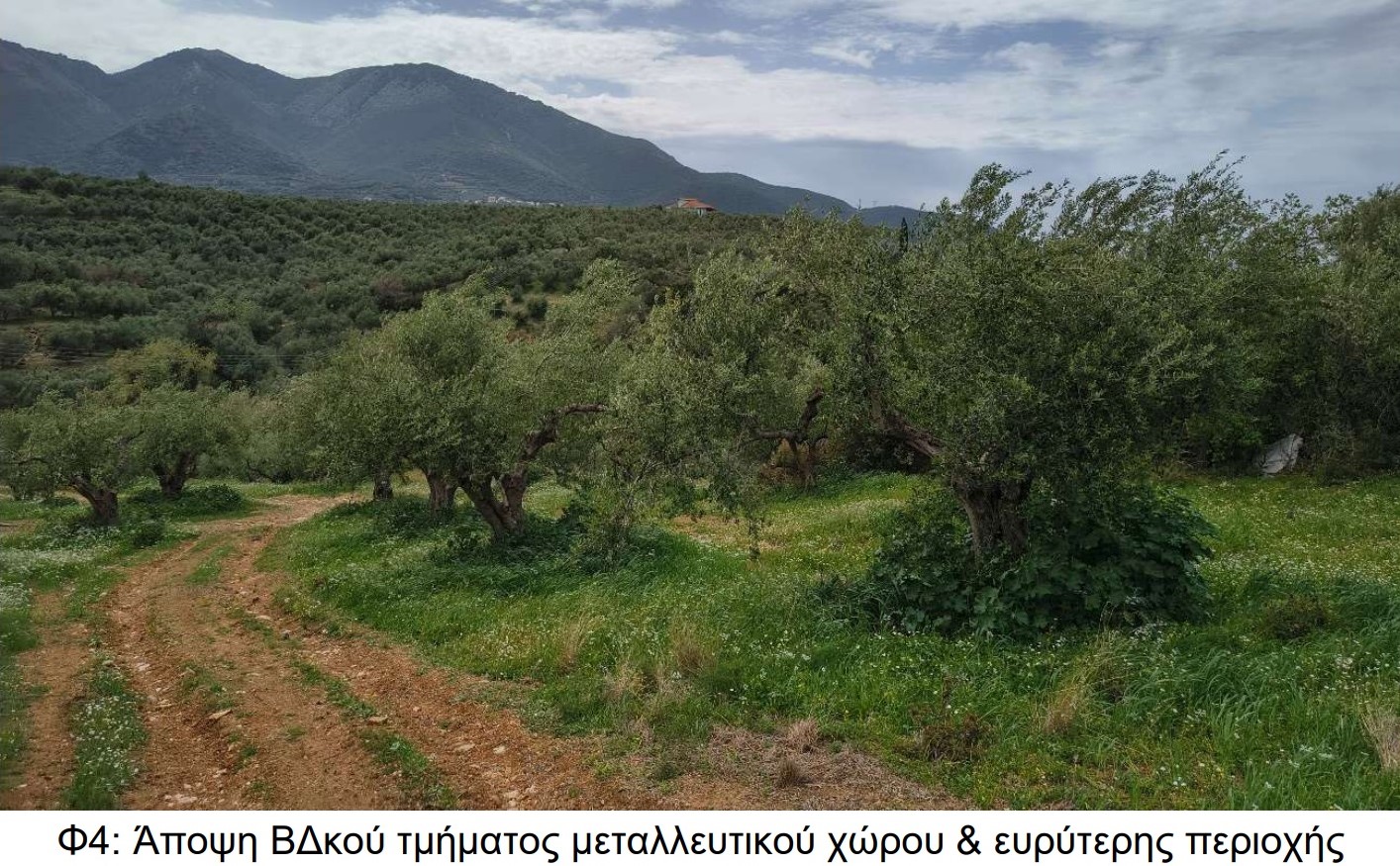 Αύριο ανοικτή συνεδρίαση του Συμβουλίου Δημοτικής Κοινότητας Κυπαρισσίας για το λιγνιτωρυχείο