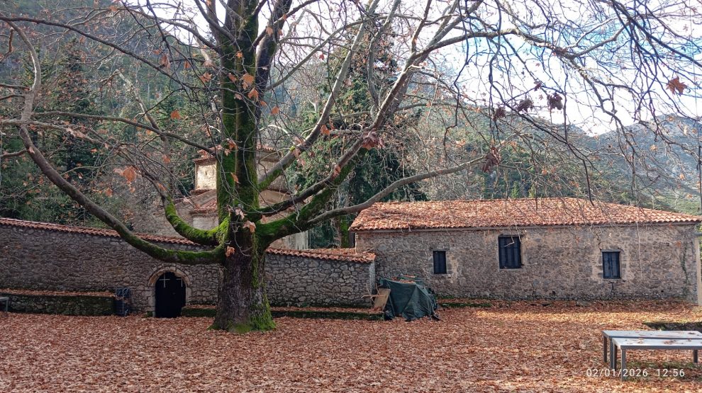 Πεζοπορική διαδρομή στον Ταΰγετο με «Τα Γεράκια»