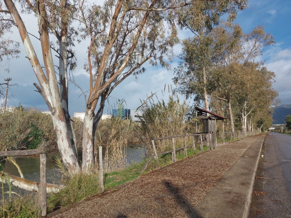 Ρημάζει ο ποδηλατόδρομος στον Άρι