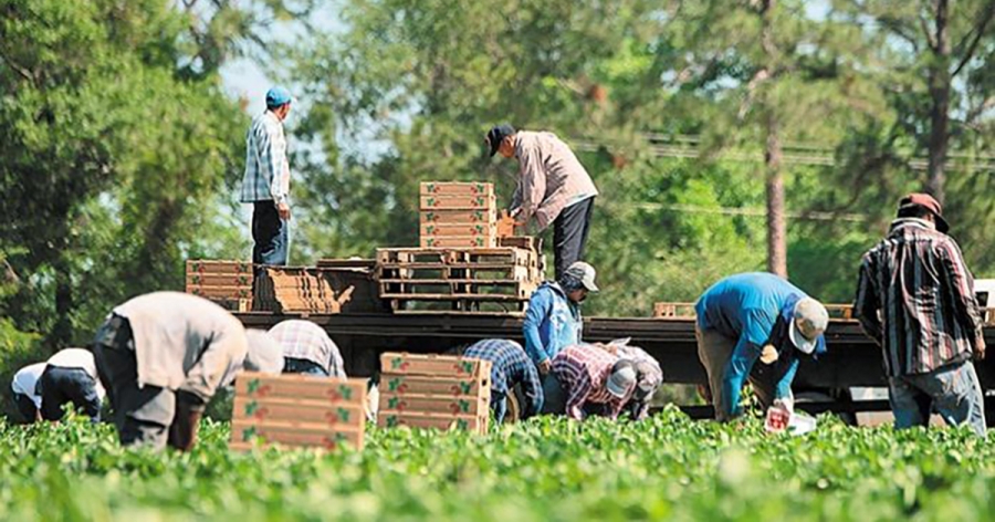 Τοπικό Εργαστήριο Primacenters για την  ένταξη μεταναστών στον πρωτογενή τομέα