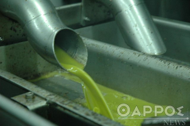 Νέα Πελοπόννησος: «Έγκλημα ο διπλασιασμός των εξαγωγών ελαιολάδου χωρίς δασμούς από την Τυνησία στις χώρες της Ε.Ε.»