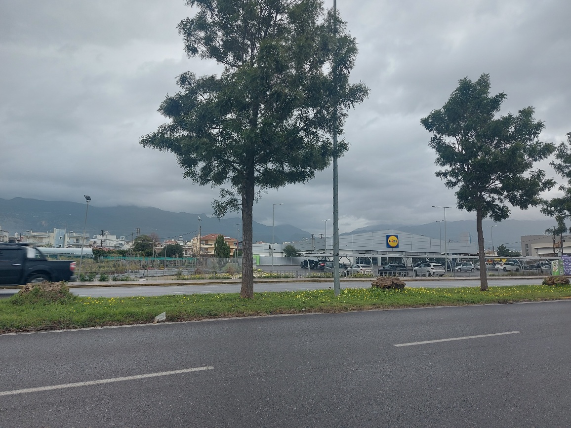 Για να δείχνουμε στους επισκέπτες πόσο αγαπάμε το πράσινο…