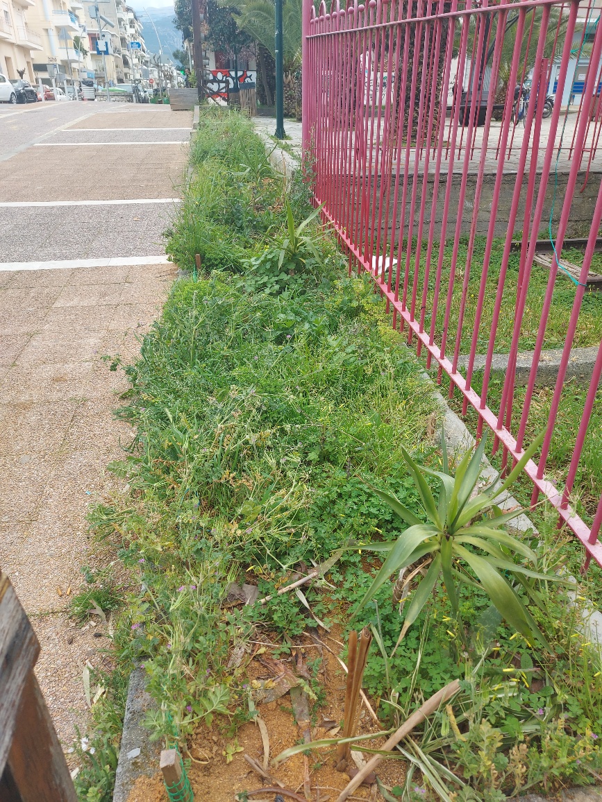 Η κεντρική είσοδος  του Πάρκου του ΟΣΕ