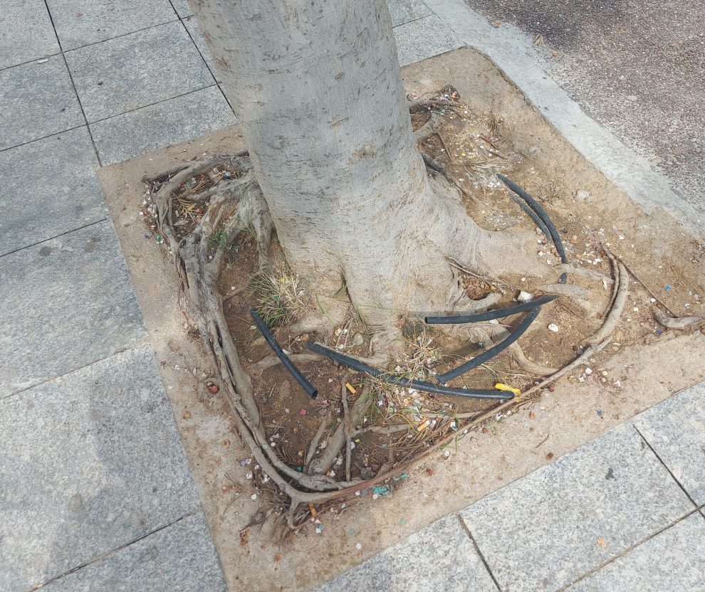 Κομμένα λάστιχα