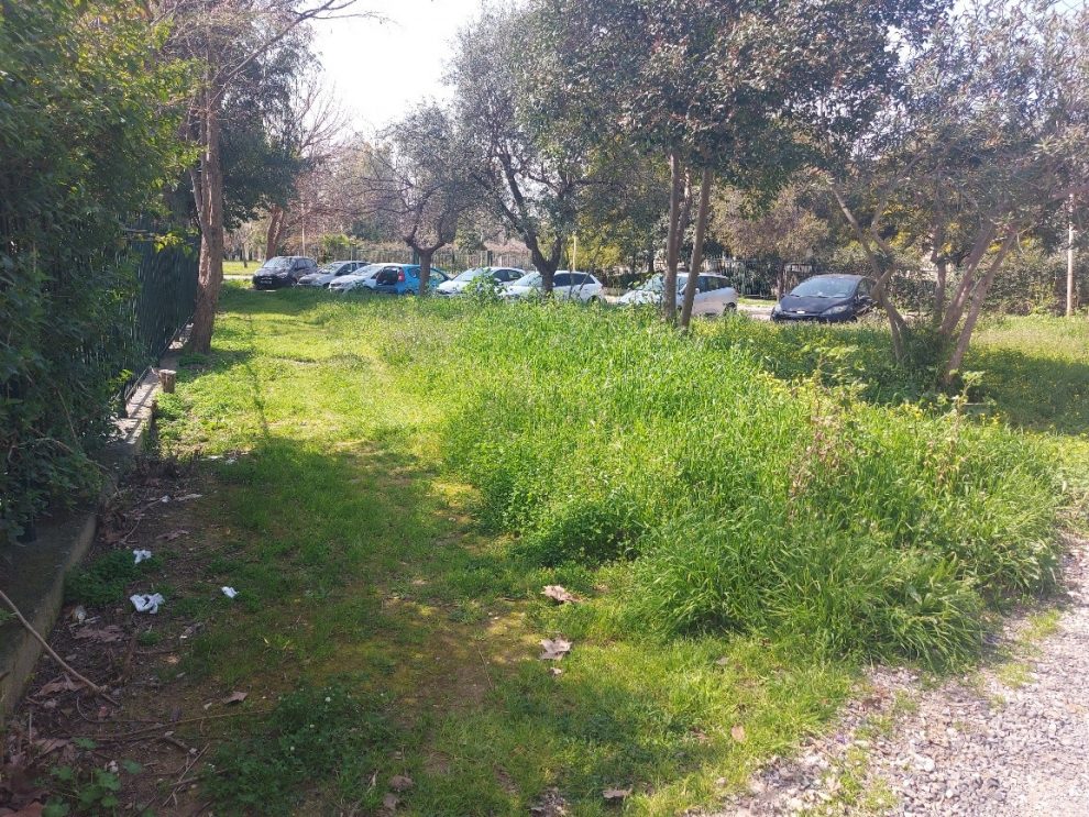 Κόψιμο χορταριών… με διακρίσεις