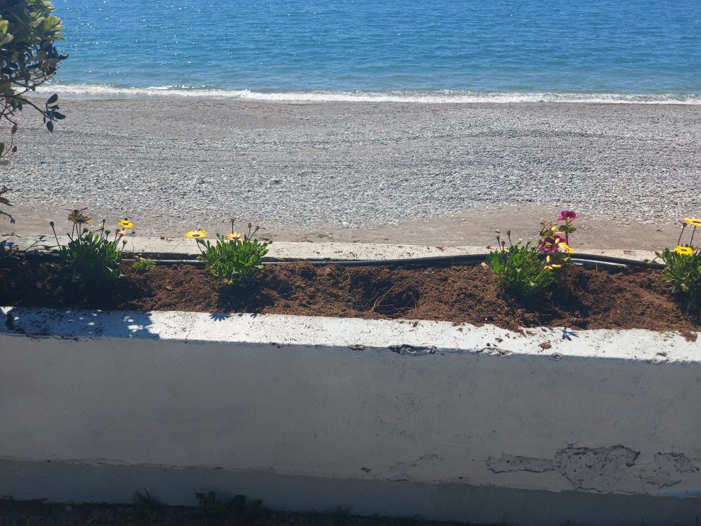 Άρχισαν οι κλοπές των λουλουδιών