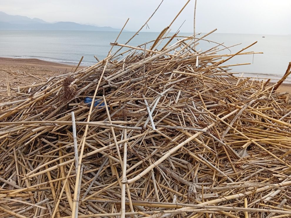 Στοίβες τα καλάμια στη Δυτική Παραλία