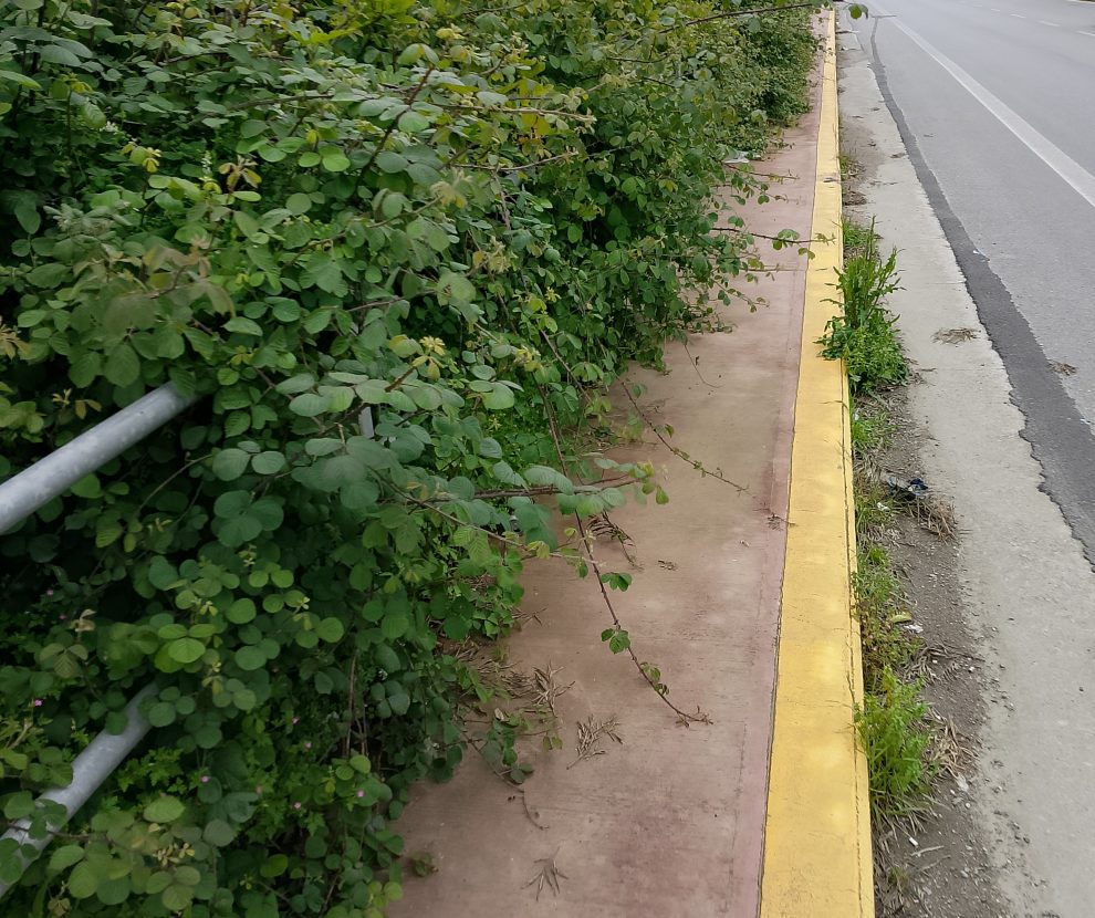 Άργησε το καθάρισμα  στο πεζοδρόμιο της Νέας Εισόδου