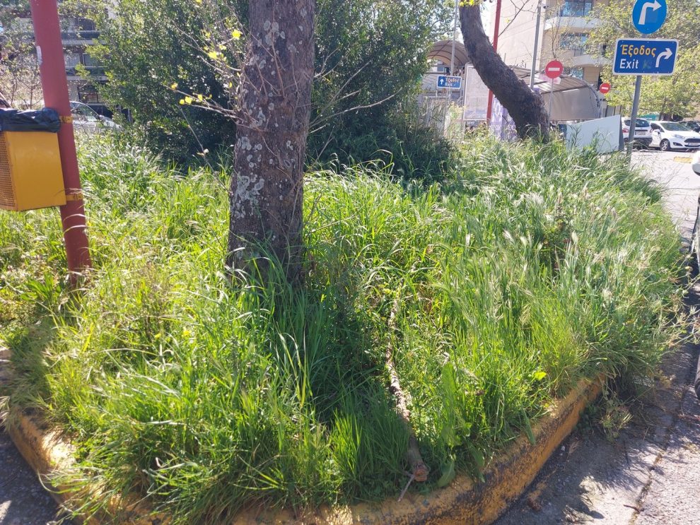 Εικόνες στο κεντρικό πάρκινγκ που θεωρητικά θα αλλάξουν…