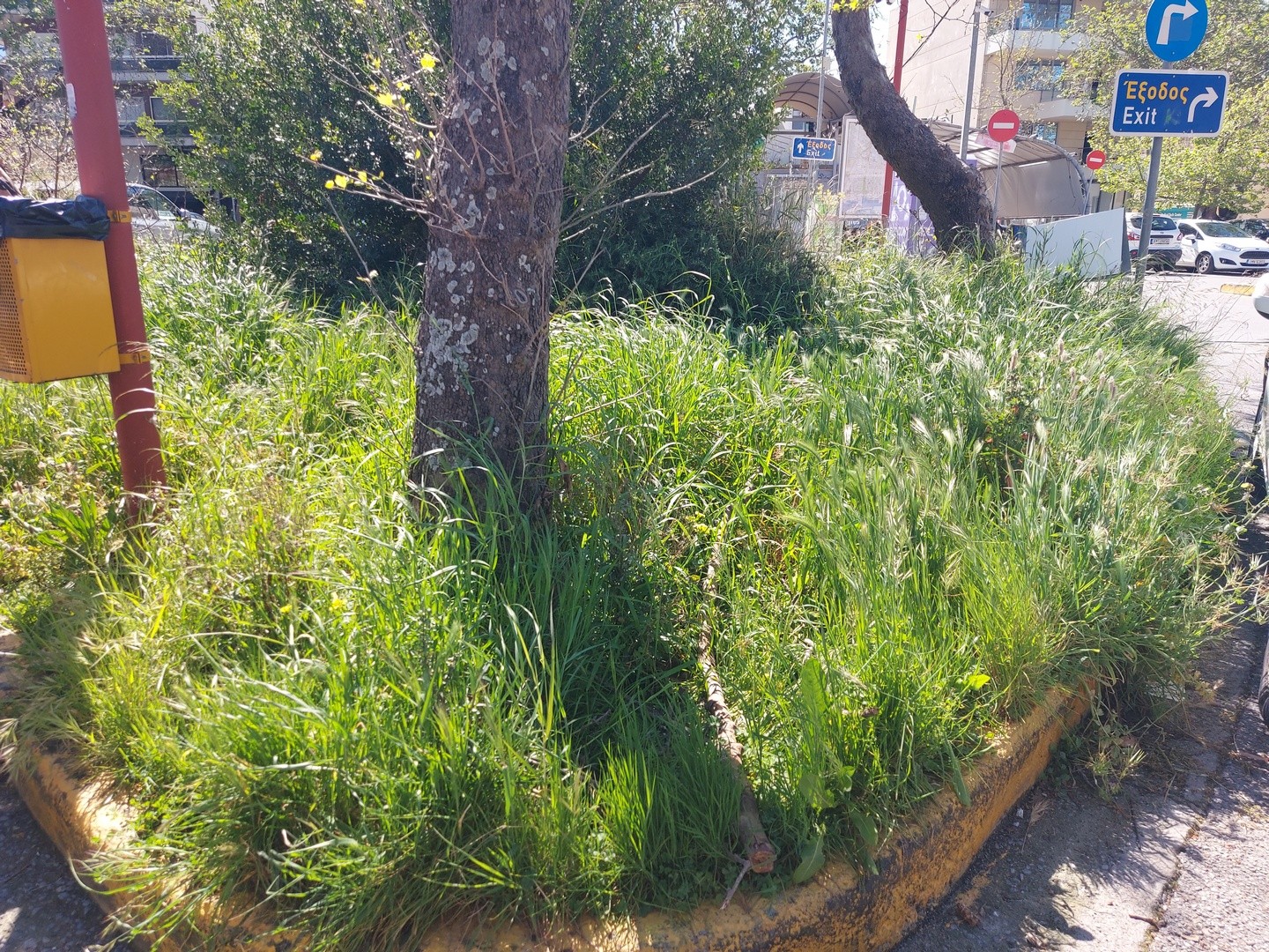 Εικόνες στο κεντρικό πάρκινγκ που θεωρητικά θα αλλάξουν…