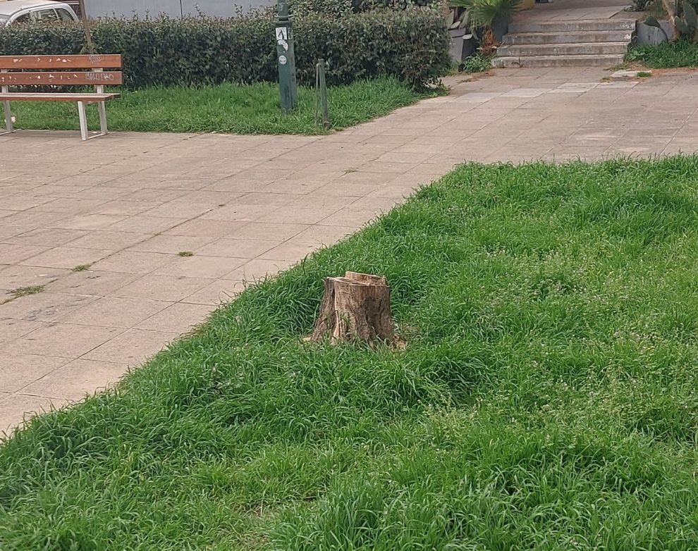 Η πράσινη πόλη…