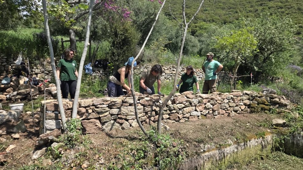 Ρίπεσι Τριφυλίας: Συλλογική εμπειρία το εργαστήρι ξερολιθιάς