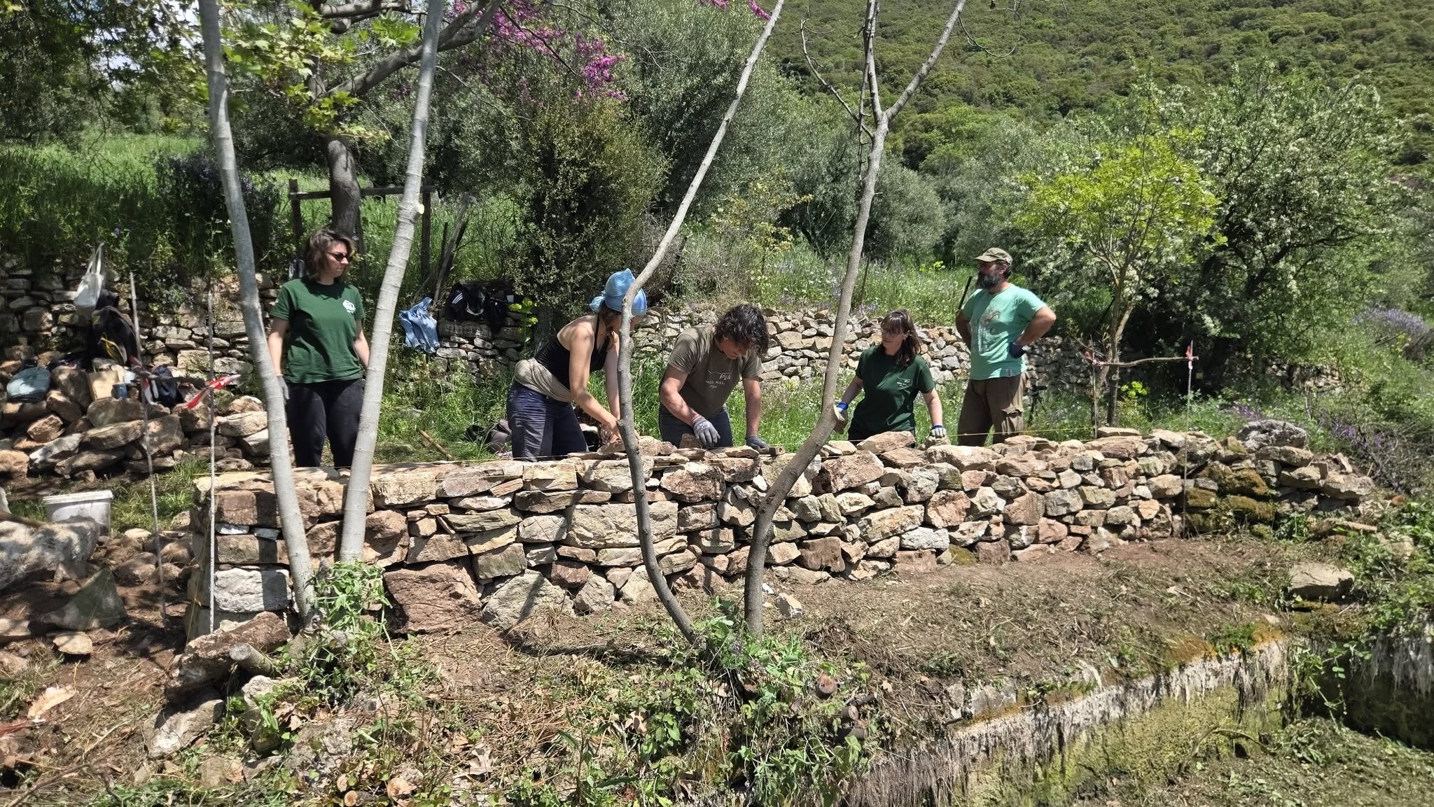 Ρίπεσι Τριφυλίας: Συλλογική εμπειρία το εργαστήρι ξερολιθιάς