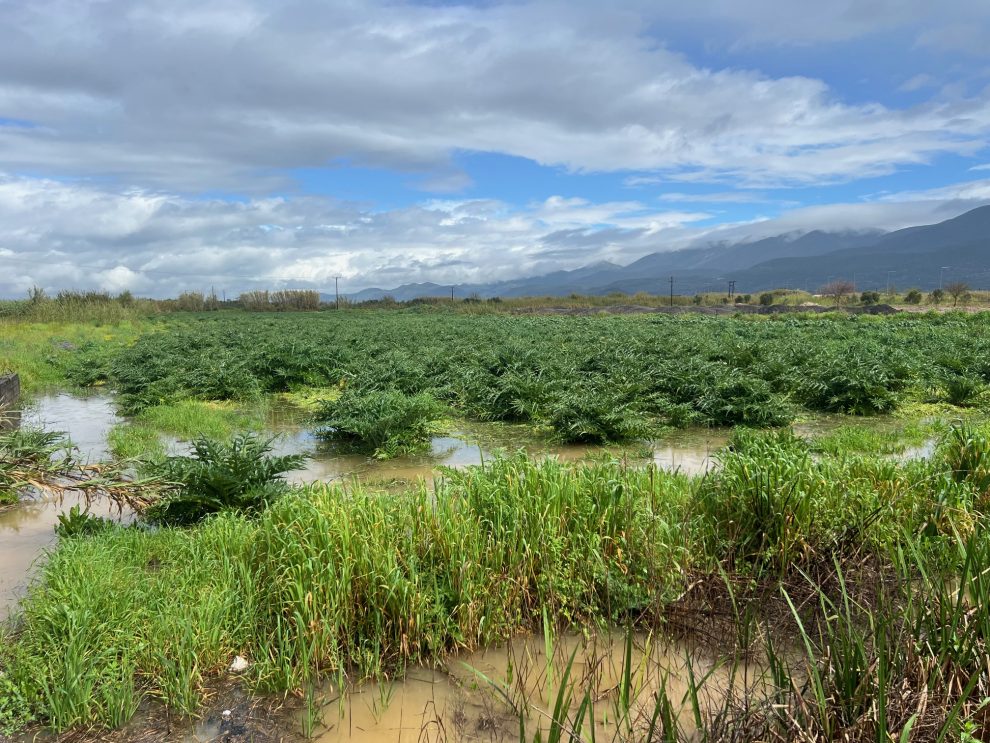 Στ. Αναστασόπουλος για Λιγδού: Τεχνική μελέτη για τον καθαρισμό και την αποτροπή εμφάνισης νέων πλημμυρικών φαινομένων