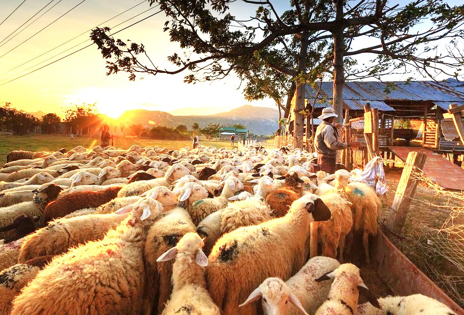 Χεράτα ή ποδαράτα, στο τέλος πάντα έρχεται η Ανάσταση…