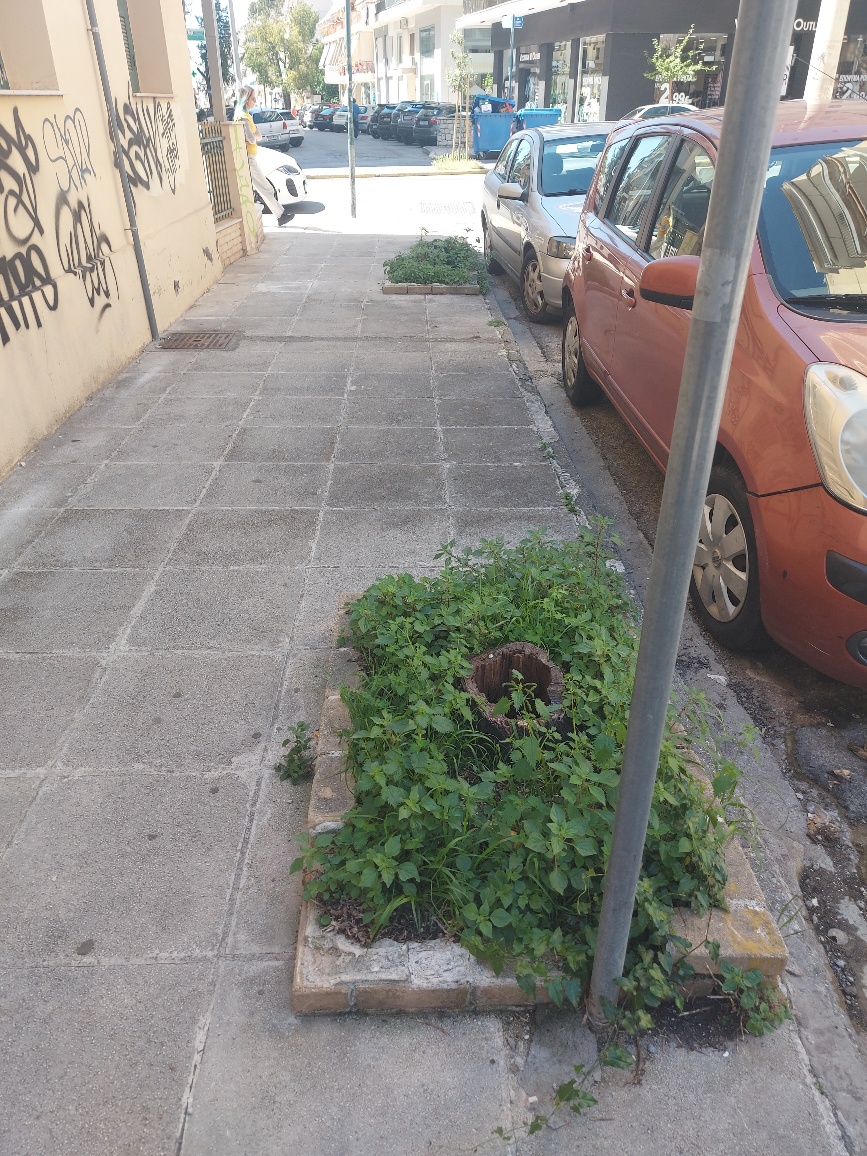 Κουφάρια δέντρων που έγιναν κάδοι