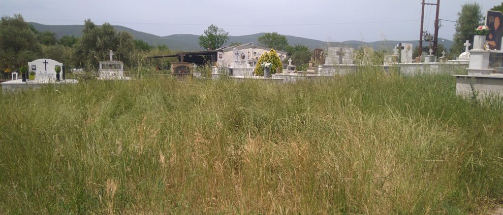 «Ζούγκλα» το νεκροταφείο στο Διαβολίτσι