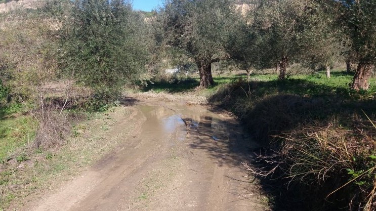 Σημαντικές εγκρίσεις έργων αγροτικής οδοποιίας σε Τριφυλία, Οιχαλία, Πυλία