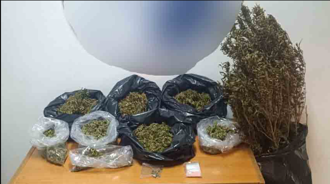 Δανός διακινούσε χασίς σε τοξικομανείς της Καλαμάτας (βίντεο)