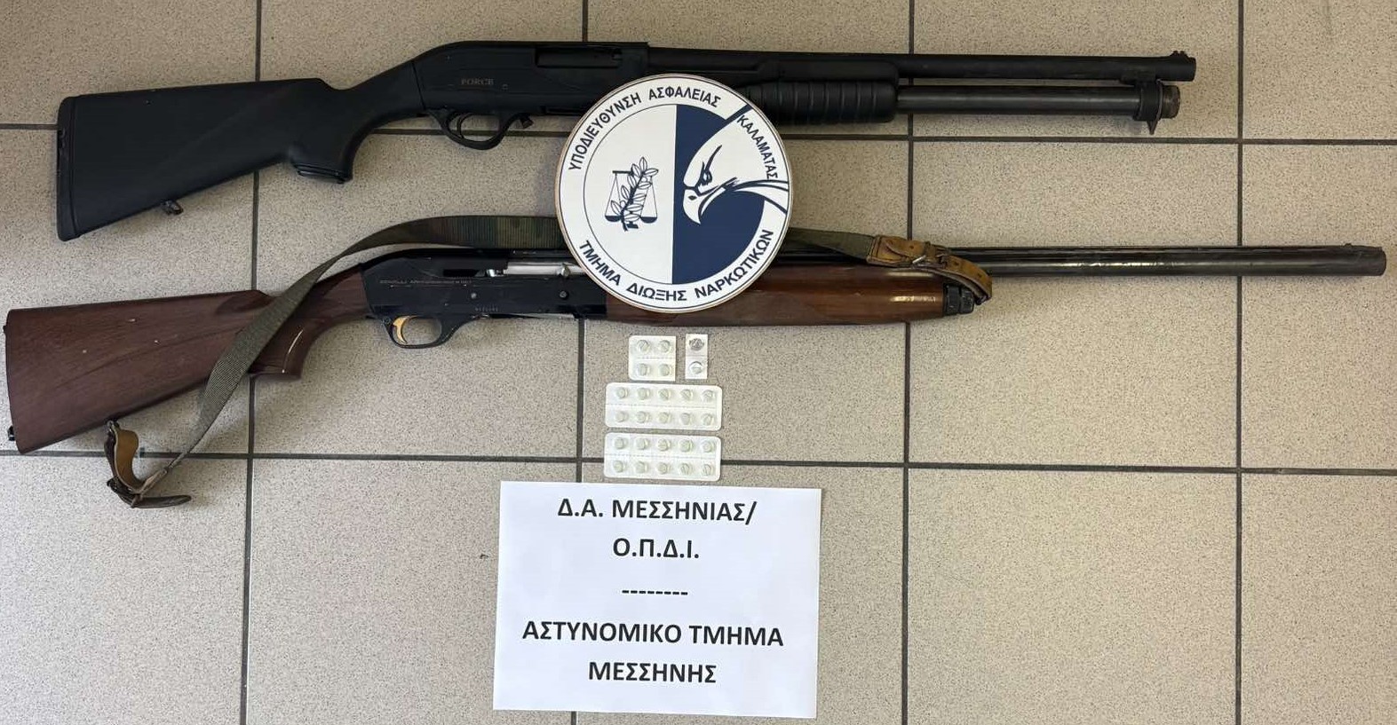 Μεσσηνία: Οκτώ συλλήψεις σε καταυλισμούς  Ρομά έπειτα από αστυνομική επιχείρηση