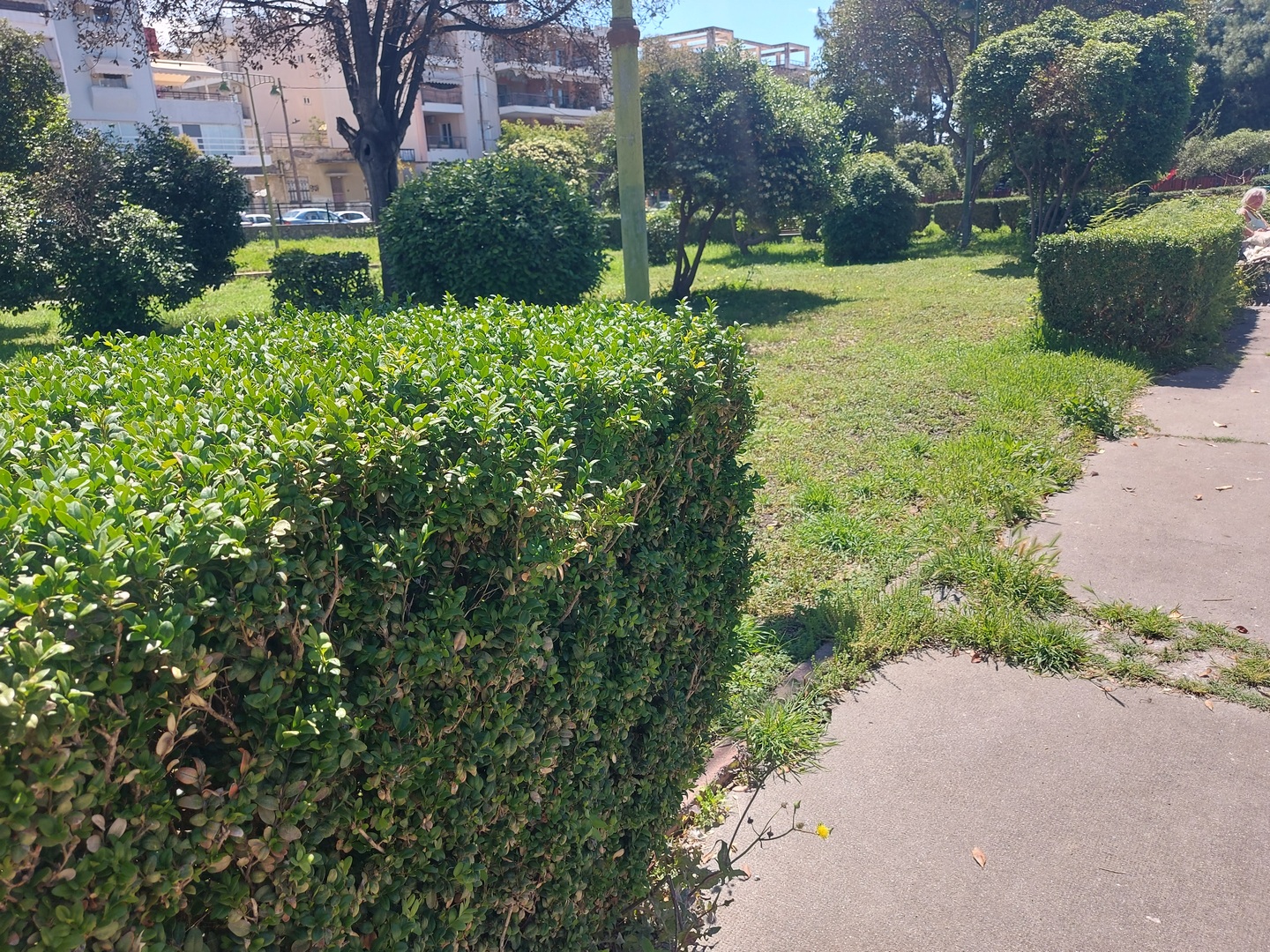 Η εύκολη λύση…