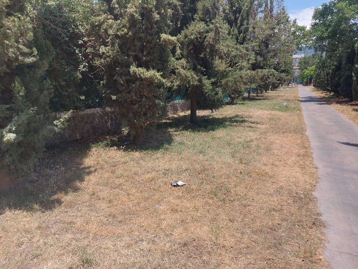 Ξεράθηκε το πράσινο μπροστά σε Διοικητήριο και Δικαστήρια