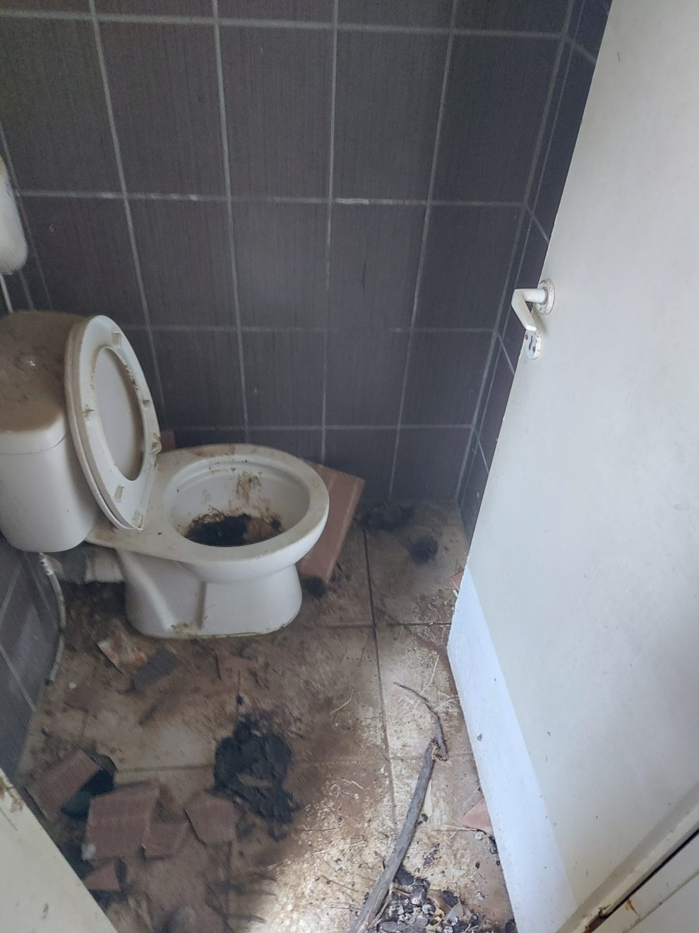 Πάρκο Αλμυρού… μια φωτογραφία που δε δημοσιεύσαμε