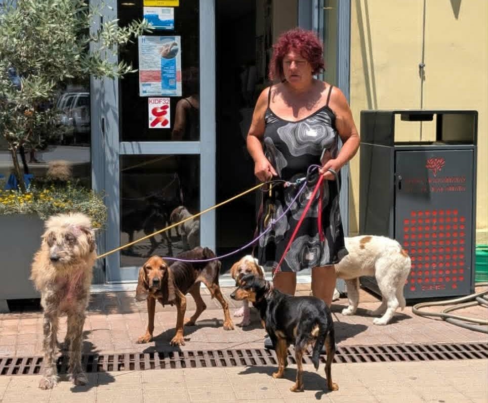 Σε κατάσταση απόγνωσης στον Φιλοζωικό Καλαμάτας -Παράσταση διαμαρτυρίας στο Δημαρχείο