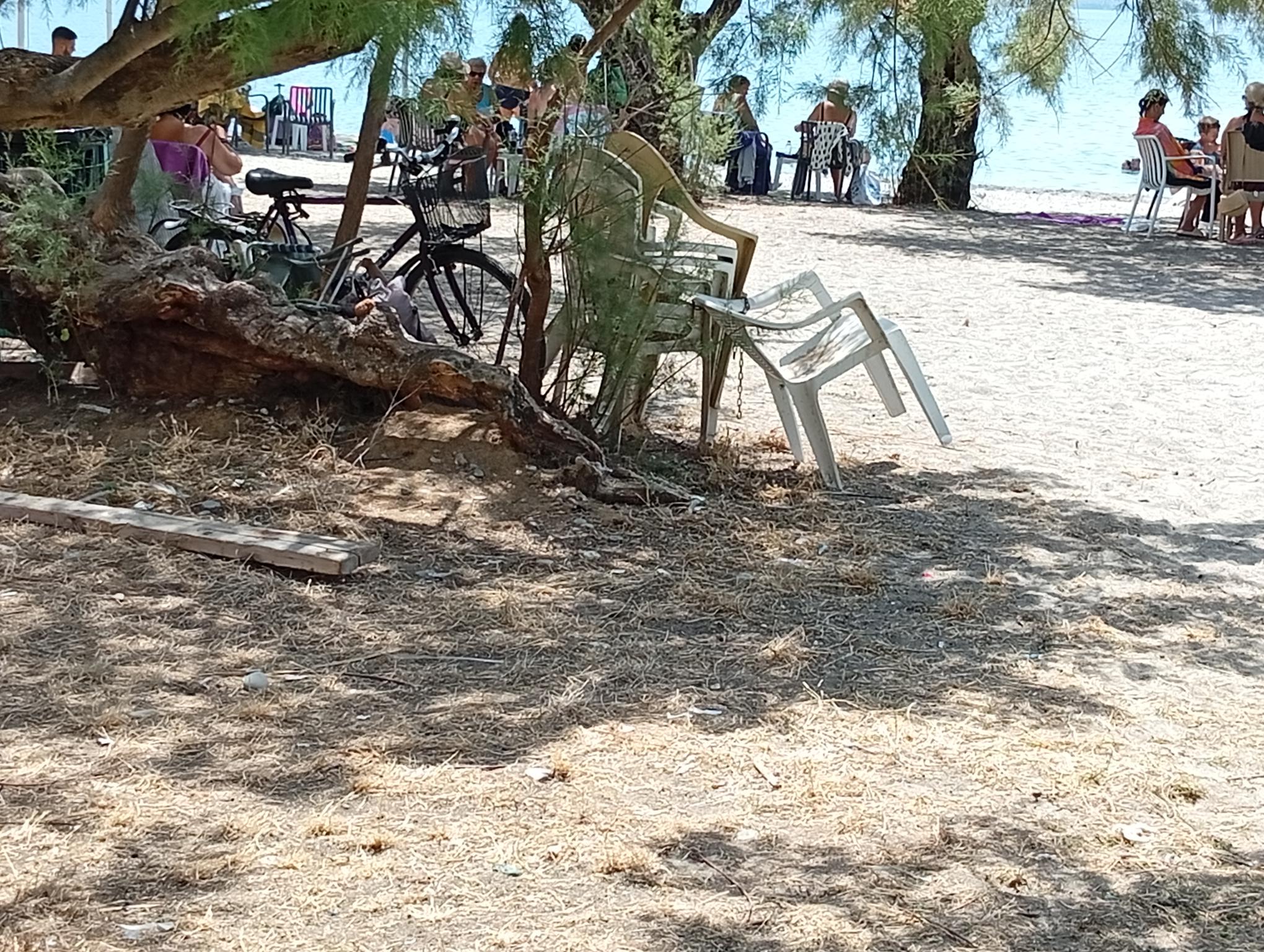 Η παραλία γεμίζει καρέκλες δεμένες με αλυσίδες στα δέντρα