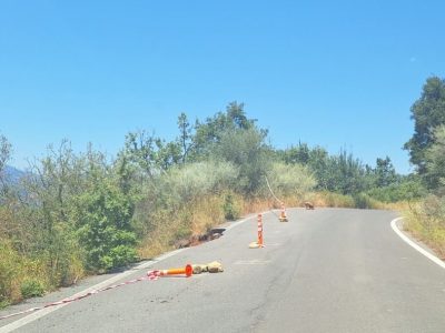 29η επαρχιακή οδός: Δραματική η κατάσταση, επικίνδυνος ο δρόμος