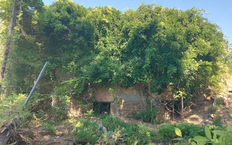 Διατηρητέο κτήριο ζούγκλα…  ιδιοκτησίας Δήμου Καλαμάτας