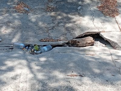Την άλλη εβδομάδα ο καθαρισμός της κοίτης του Νέδοντα