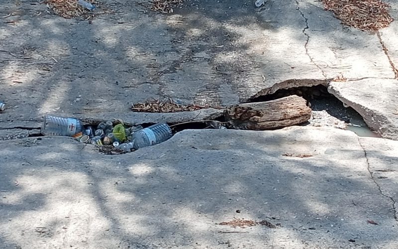 Την άλλη εβδομάδα ο καθαρισμός της κοίτης του Νέδοντα
