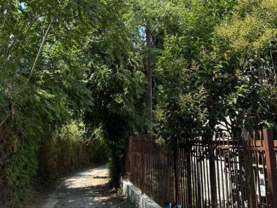ΟΑΚ Μεσσηνίας: Αντιπυρική περίοδος μέχρι σήμερα και το συμβάν μεταξύ Ακρίτα και Μεγάλου Αλεξάνδρου