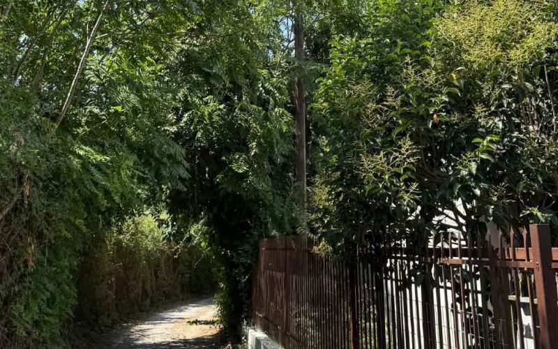 ΟΑΚ Μεσσηνίας: Αντιπυρική περίοδος μέχρι σήμερα και το συμβάν μεταξύ Ακρίτα και Μεγάλου Αλεξάνδρου