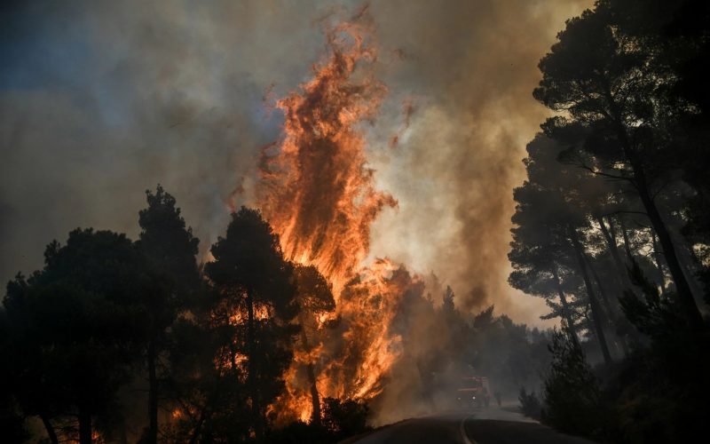 Π.Ε. Μεσσηνίας: Απαγόρευση κυκλοφορίας σήμερα  σε δασικά οικοσυστήματα
