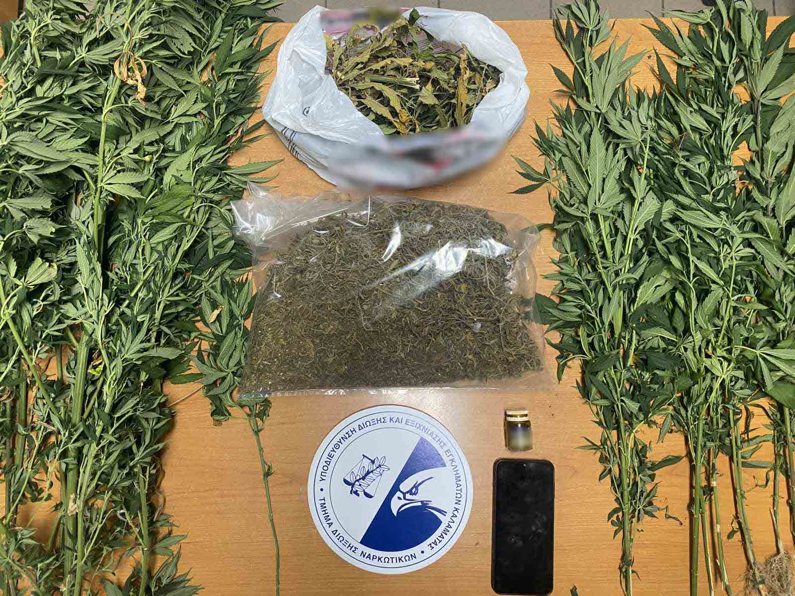 Απολογείται σήμερα ο 46χρονος για την κατοχή και καλλιέργεια κάνναβης