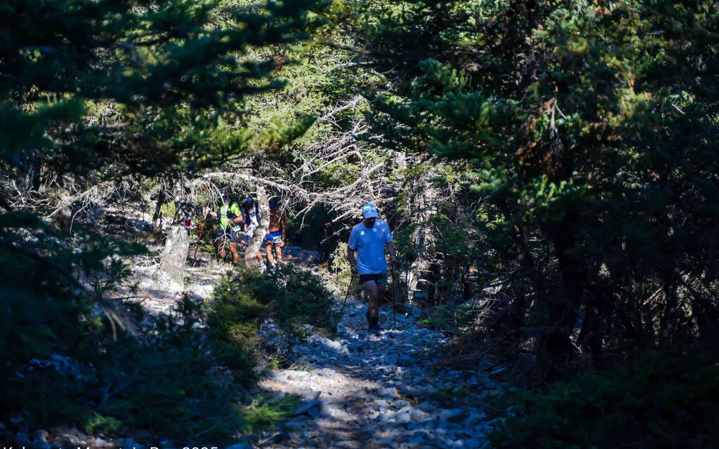 Kalamata Mountain Run: Έρχεται ο 3ος ορεινός αγώνας στο Καλάθι της Βέργας