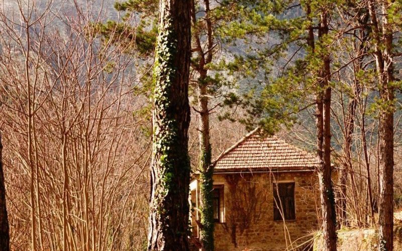 Διήμερο Αυτάρκειας στις 26 και 27 Σεπτεμβρίου στο Αγροκήπιο της Αλαγονίας