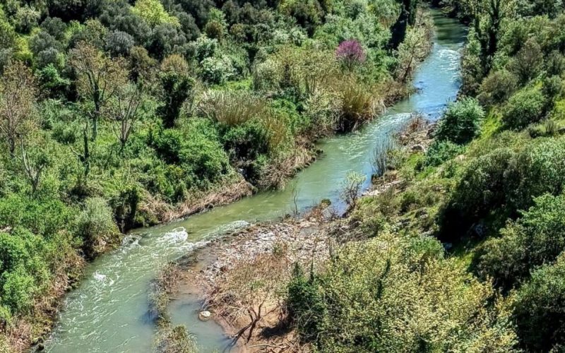 Από τον Αλφειό στη Νέδα…